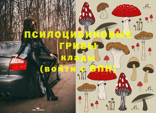 дурь Белоозёрский