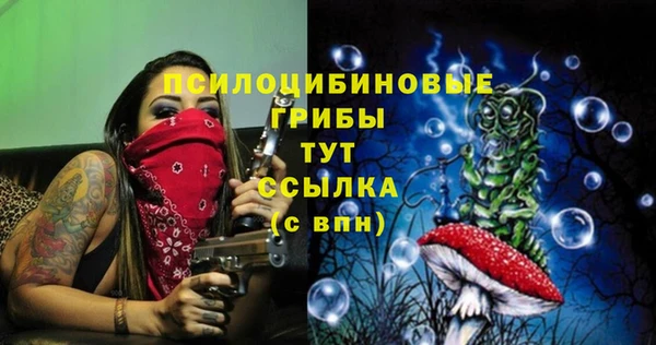 соль ск Балабаново