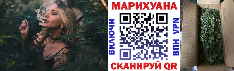 Конопля сатива  Покровск 
